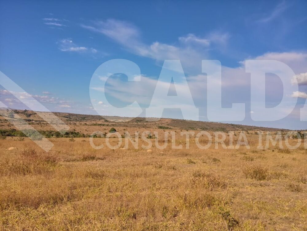 Fazenda - Foto 1