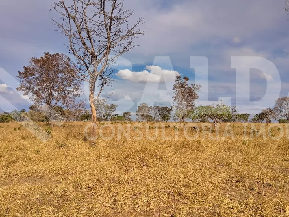 Fazenda - Foto 10