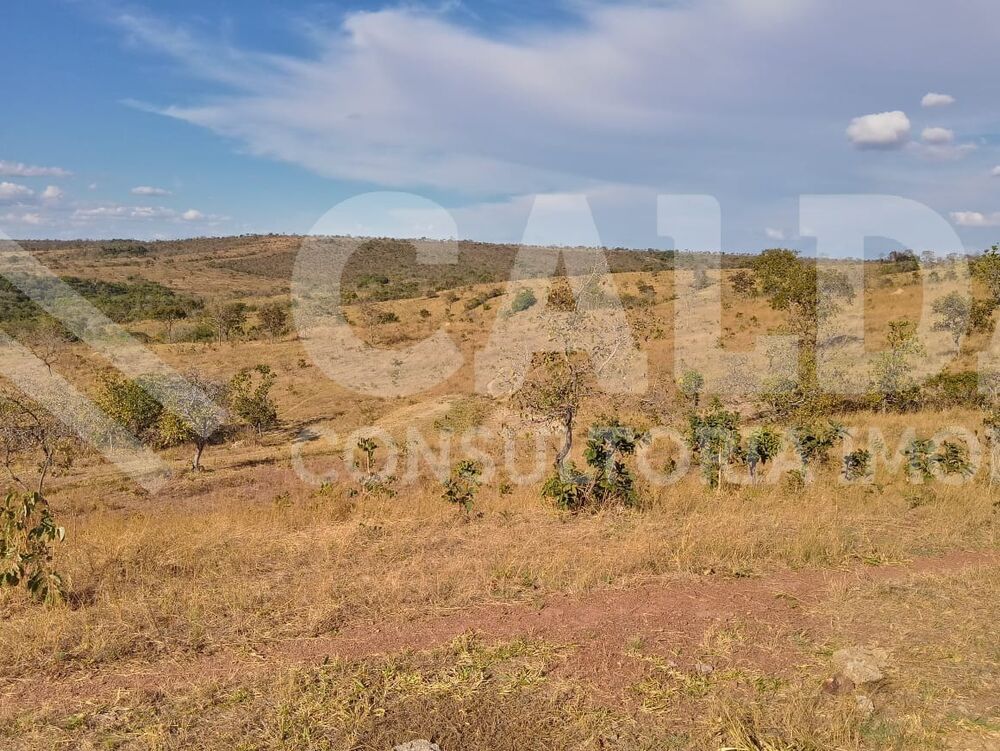 Fazenda - Foto 4