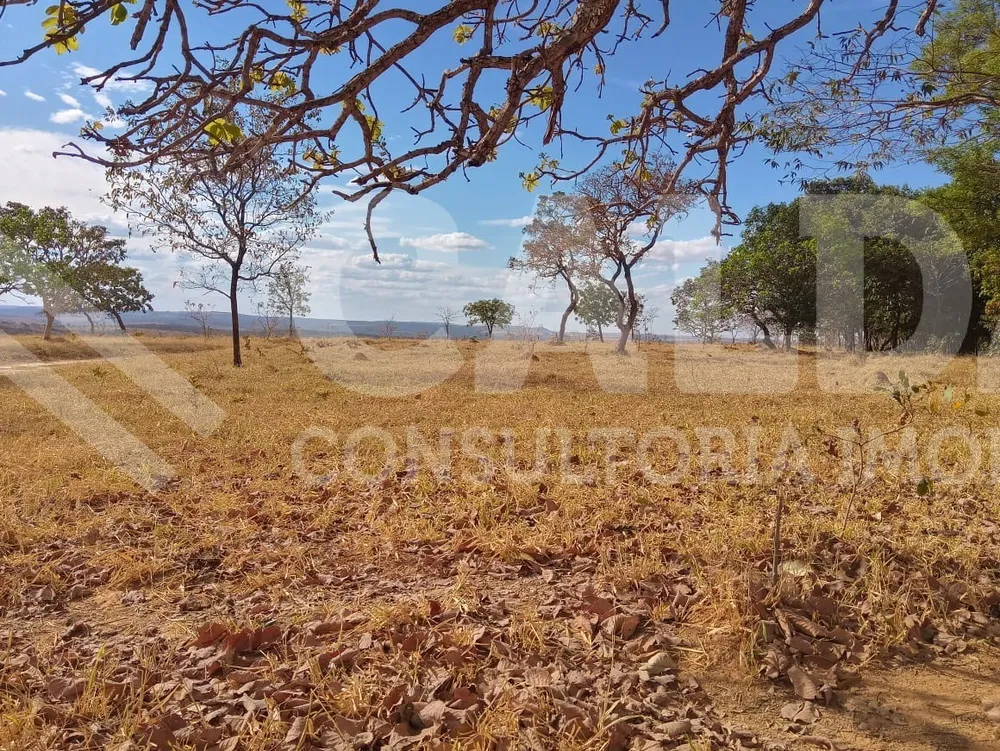 Fazenda - Foto 13