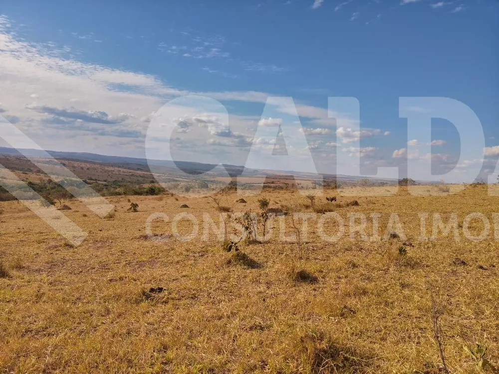 Fazenda - Foto 9