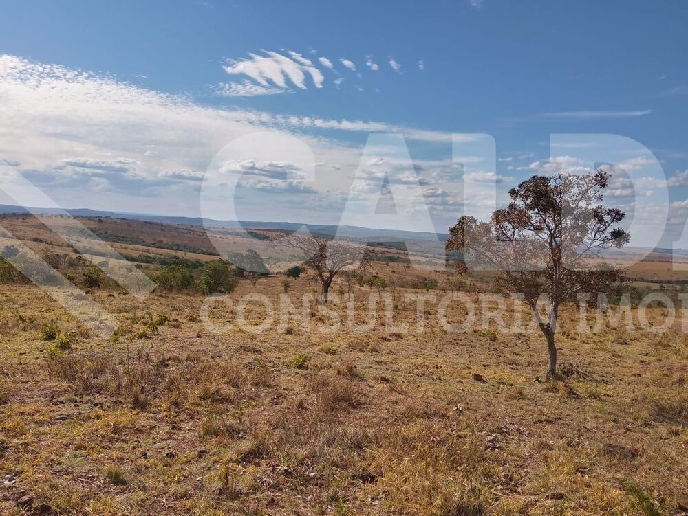Fazenda - Foto 6
