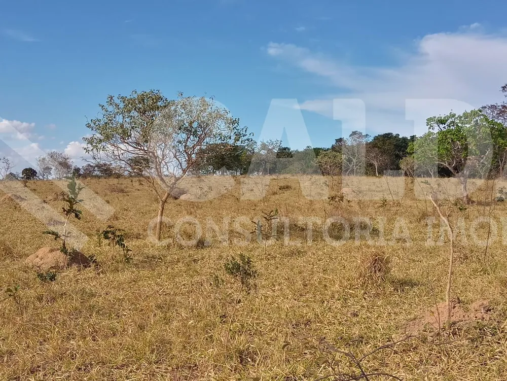 Fazenda - Foto 14