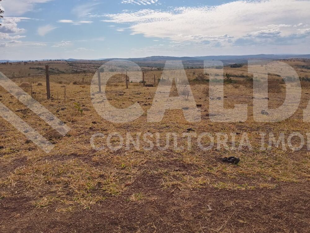 Fazenda - Foto 8