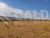 Fazenda-Sítio-Chácara - Foto 3
