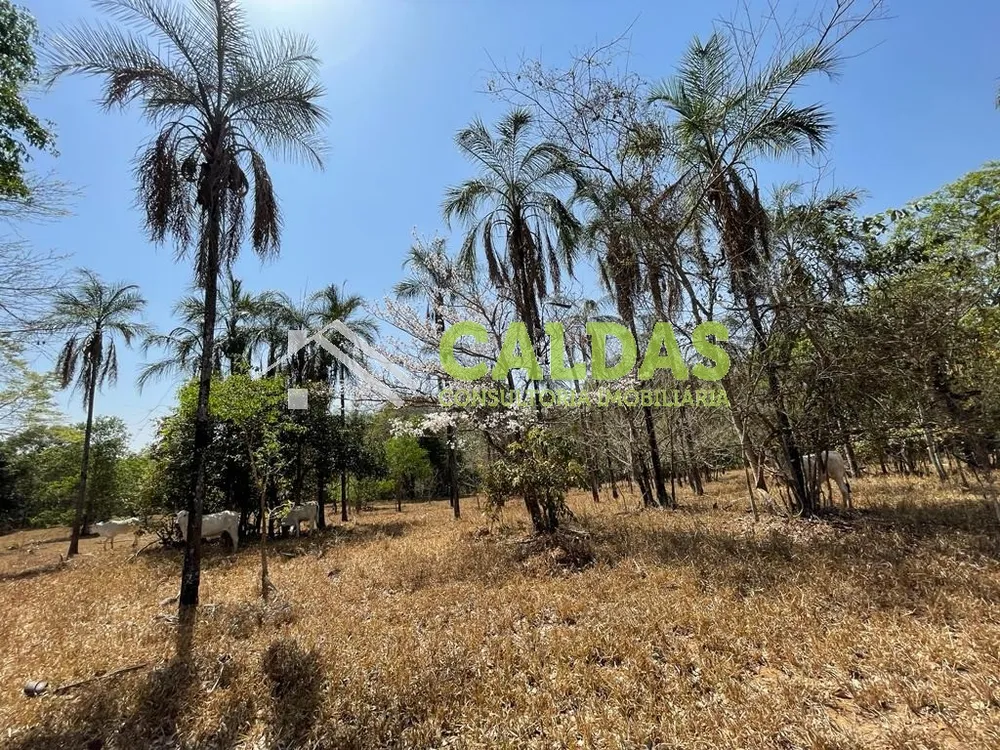 Sítio, 5 hectares - Foto 12