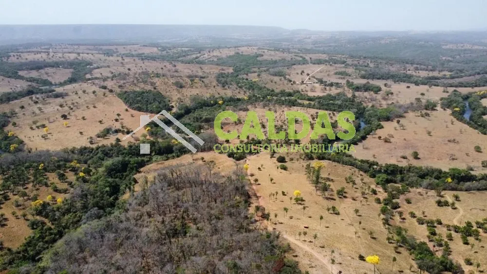 Sítio, 5 hectares - Foto 10