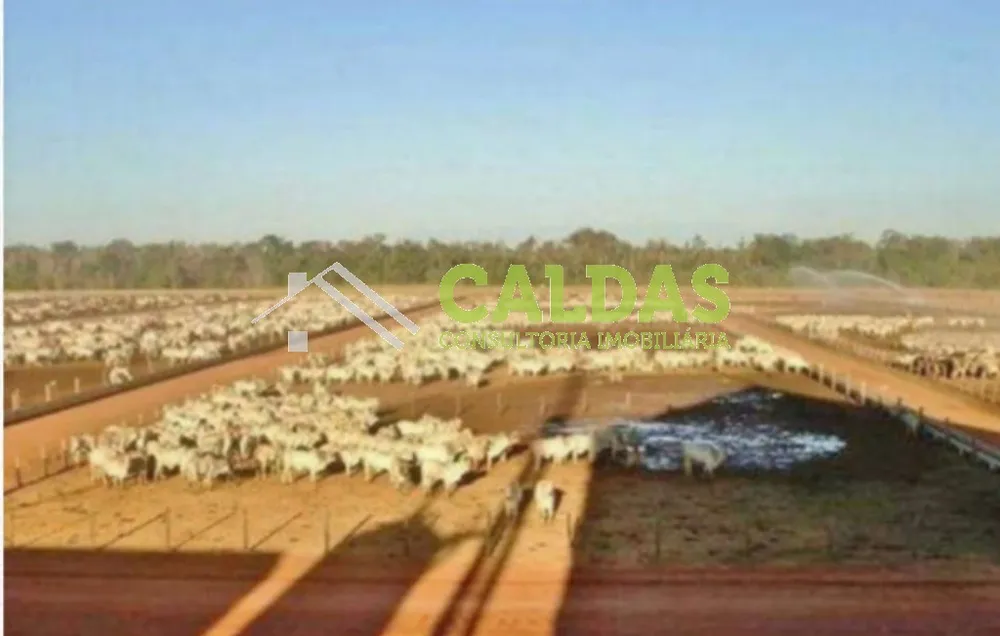 Fazenda, 2444 m² - Foto 1
