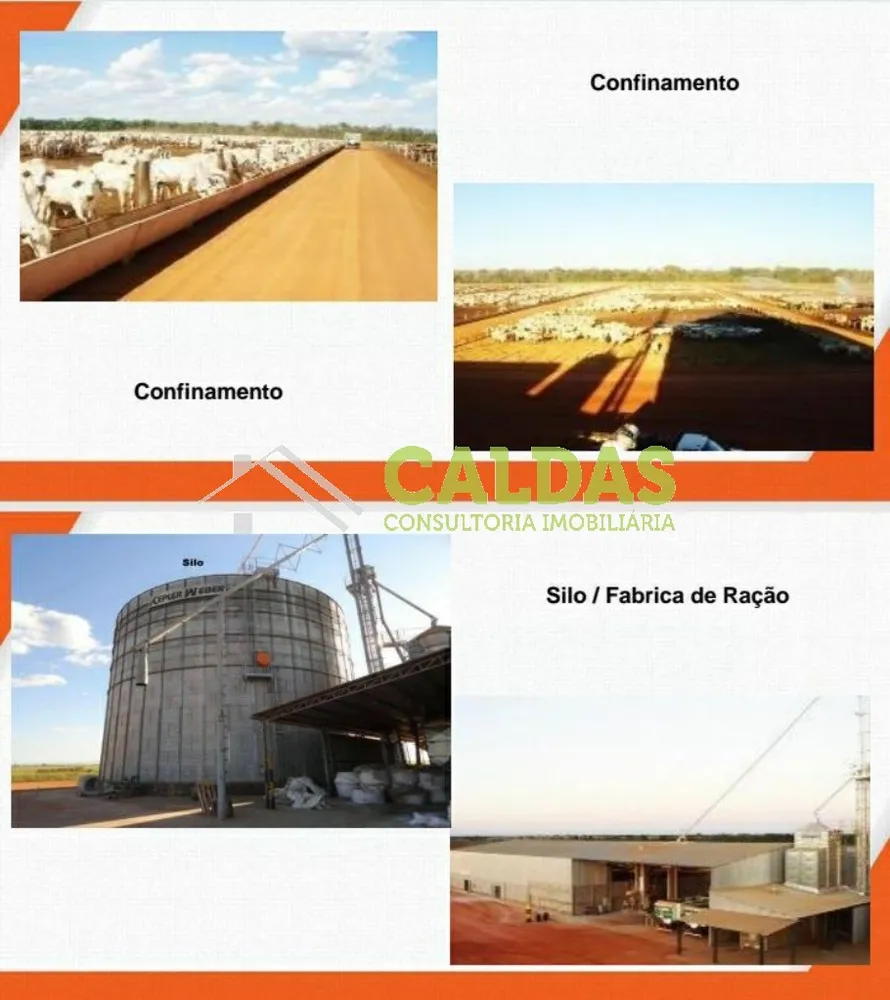 Fazenda, 2444 m² - Foto 7