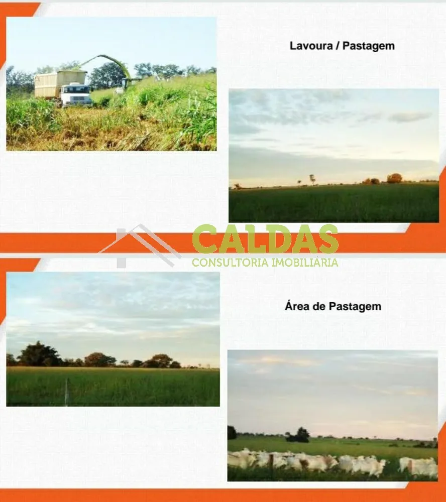 Fazenda, 2444 m² - Foto 5
