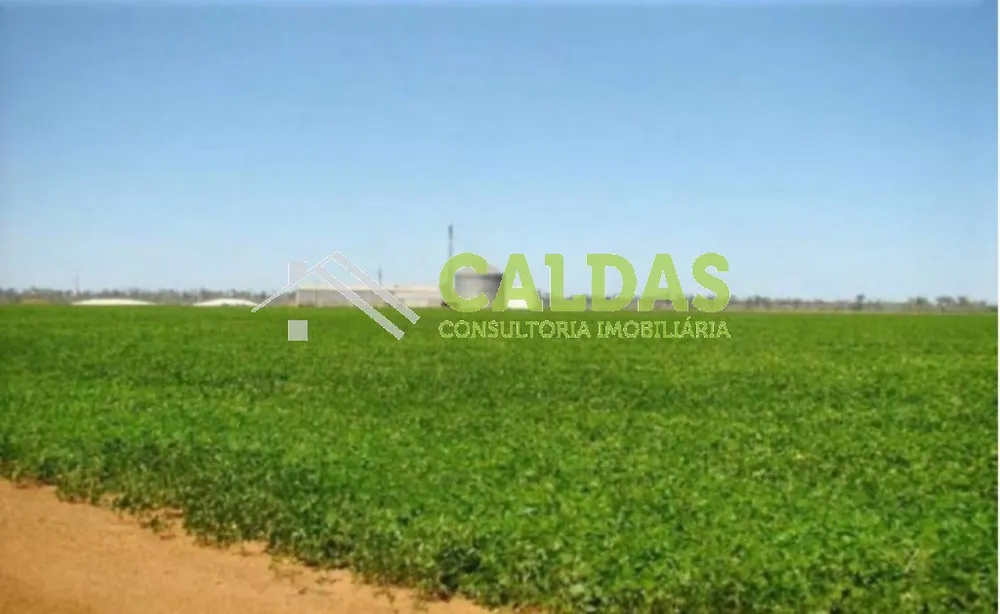 Fazenda, 2444 m² - Foto 12
