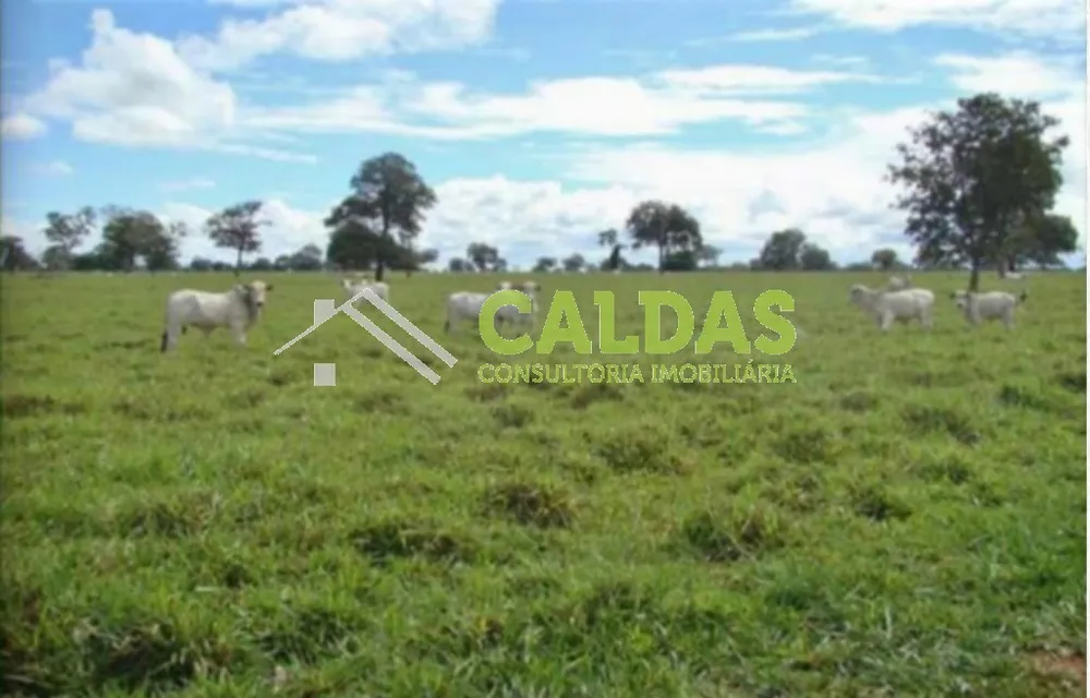 Fazenda, 2444 m² - Foto 11