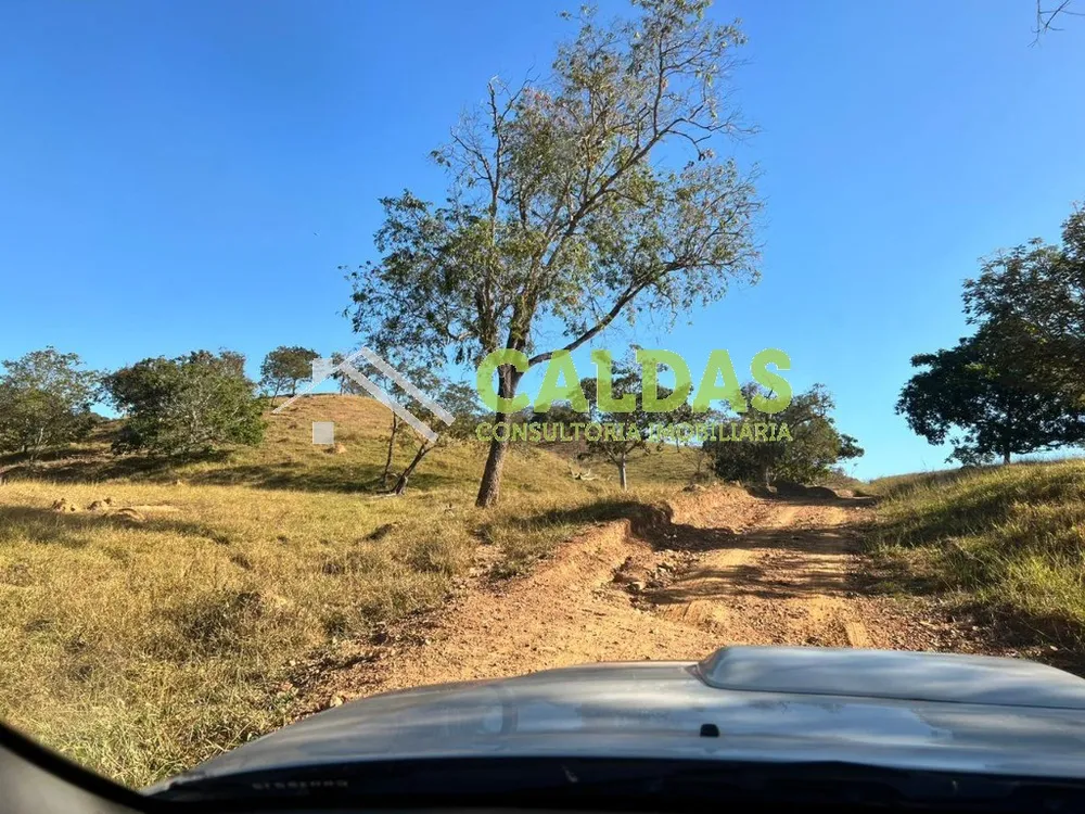 Fazenda - Foto 4
