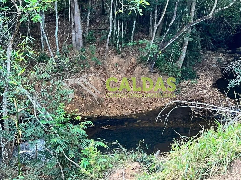 Fazenda - Foto 3