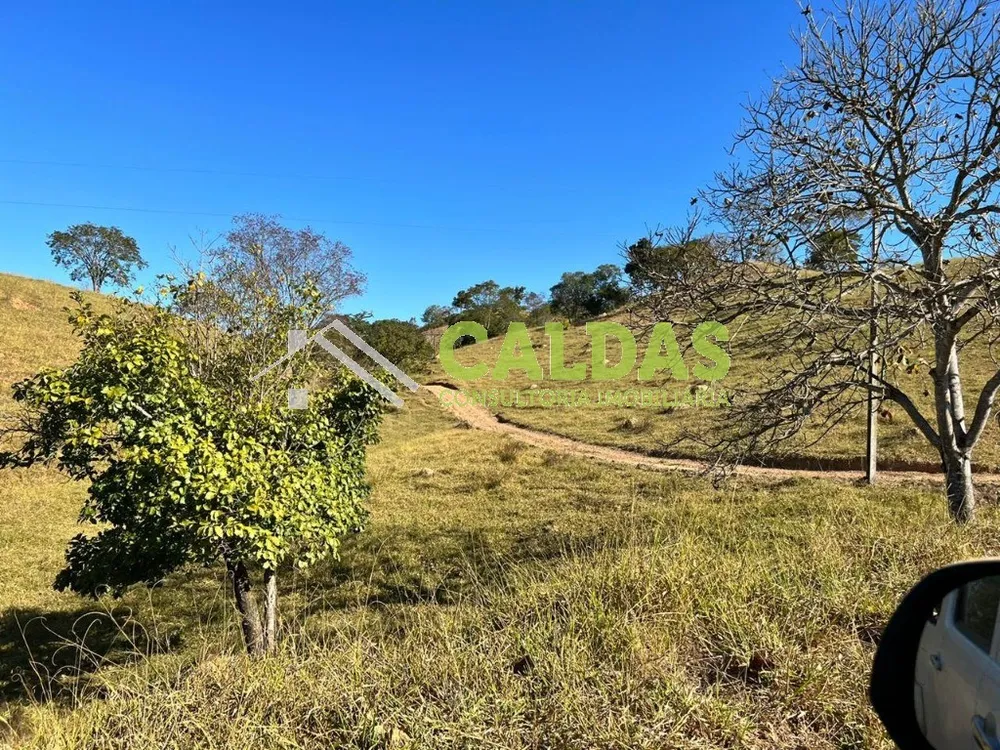 Fazenda - Foto 1