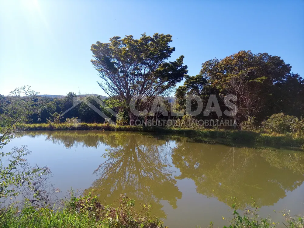 Fazenda - Foto 4
