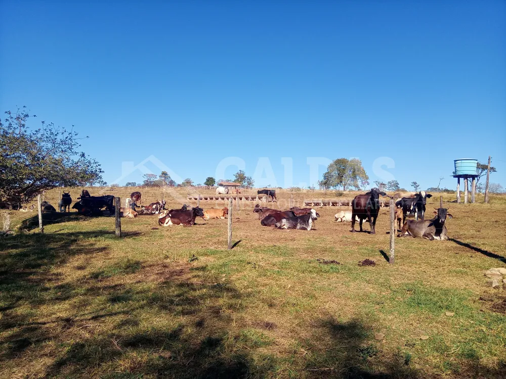 Fazenda - Foto 5