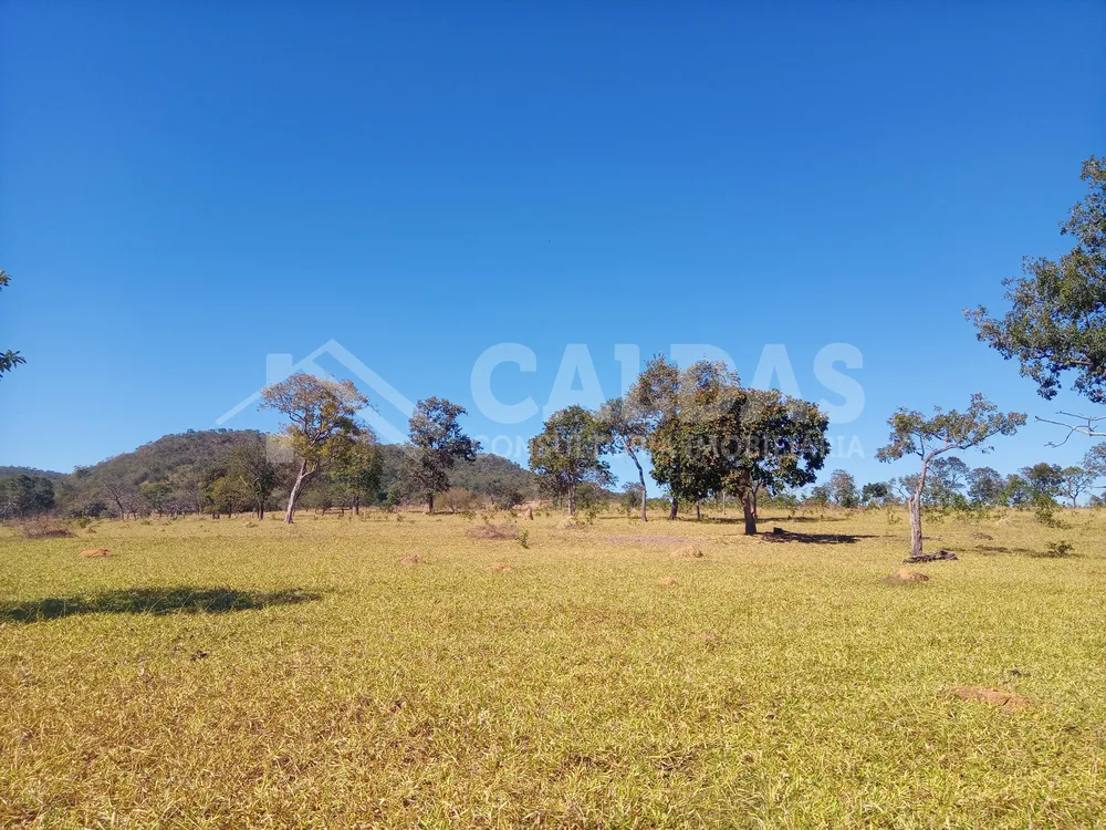 Fazenda - Foto 1