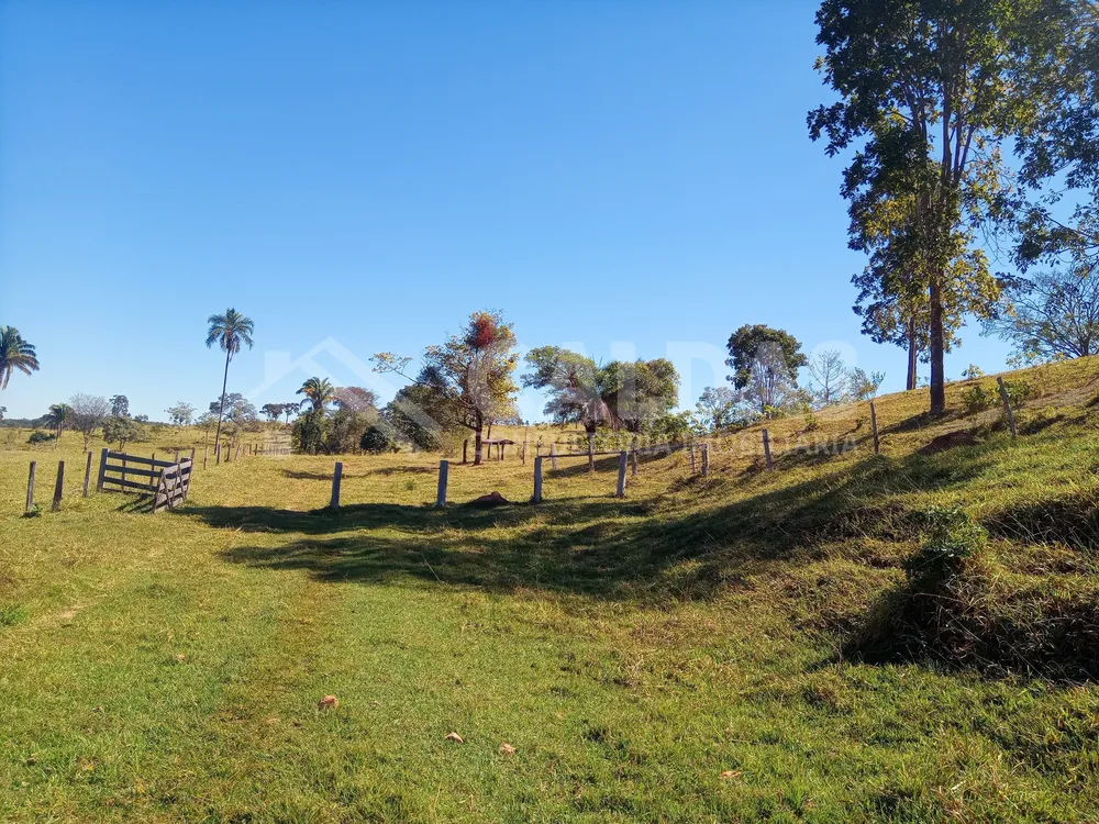 Fazenda - Foto 13
