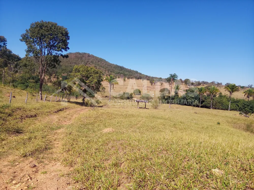 Fazenda - Foto 3