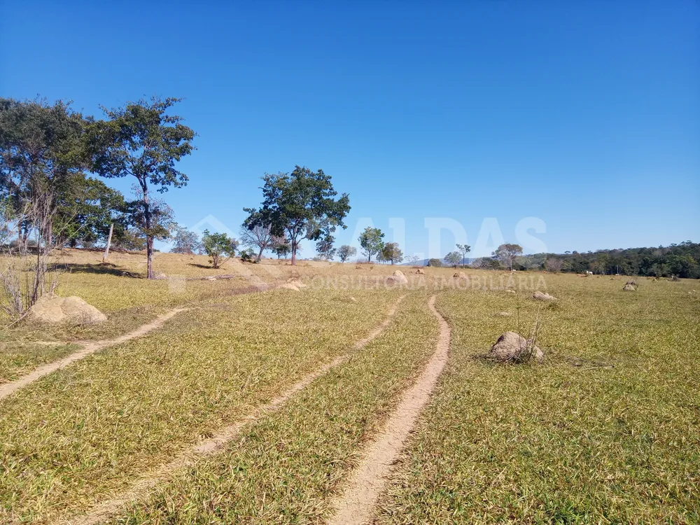 Fazenda - Foto 16