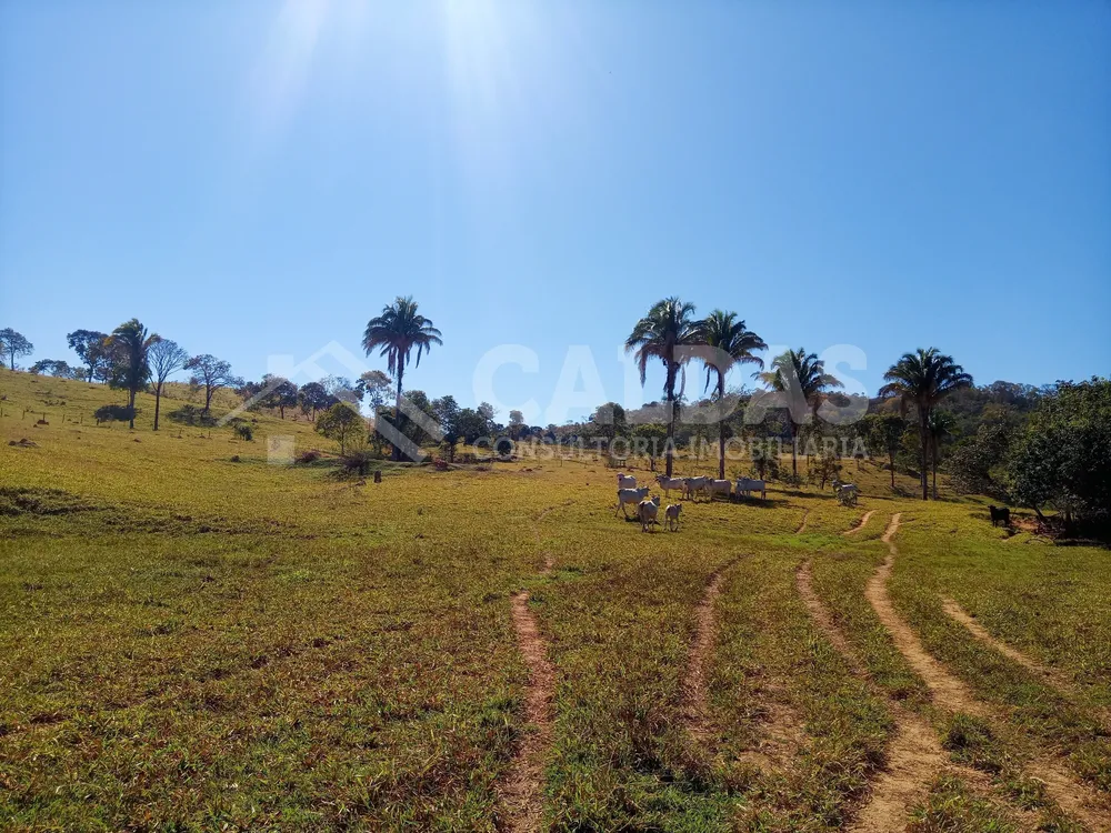 Fazenda - Foto 9