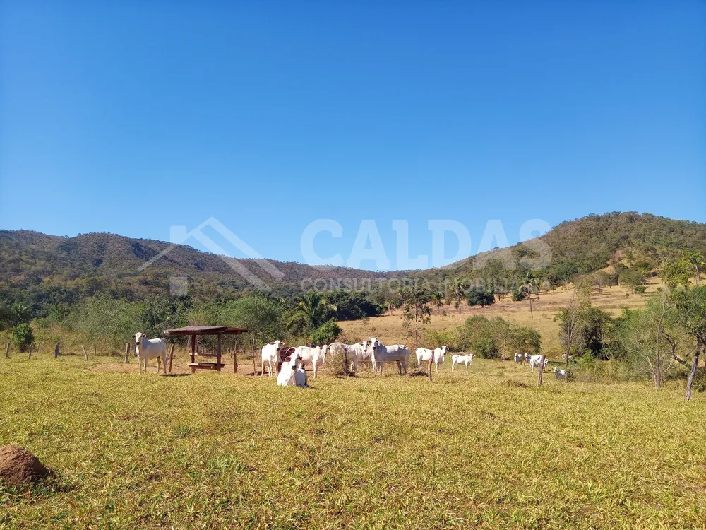 Fazenda - Foto 2