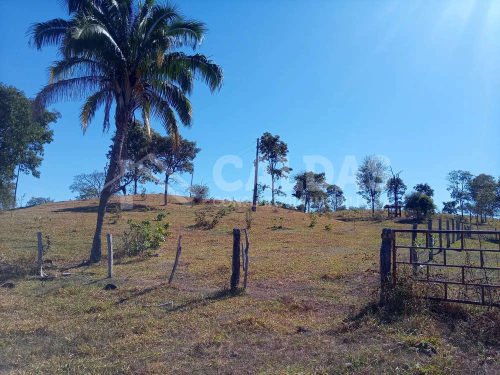 Fazenda - Foto 12