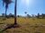 Fazenda - Foto 3