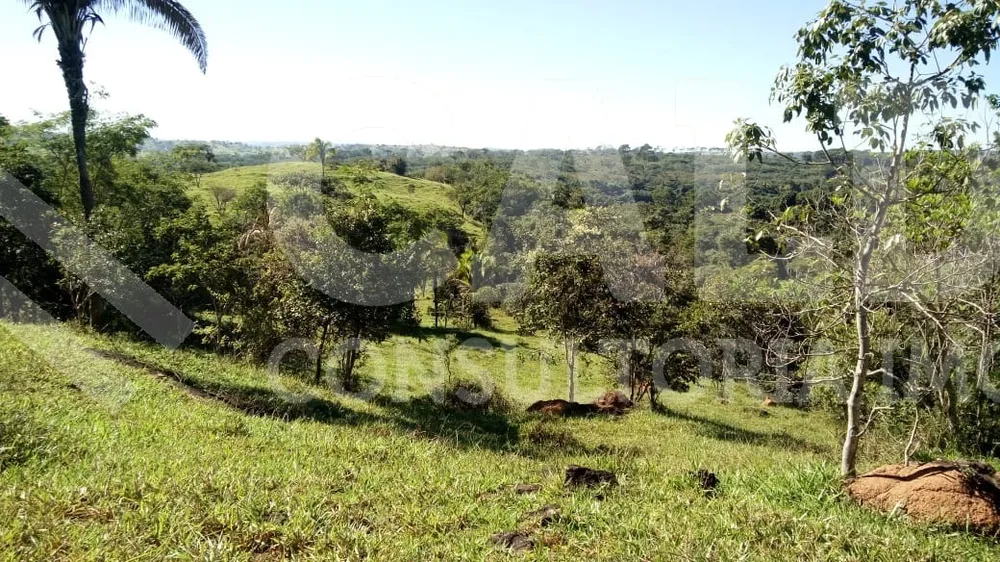 Fazenda - Foto 4