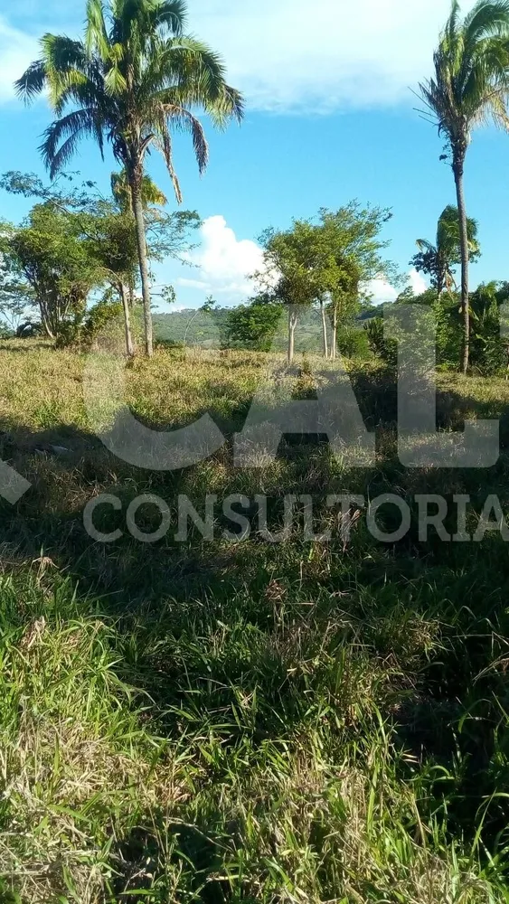 Fazenda - Foto 2