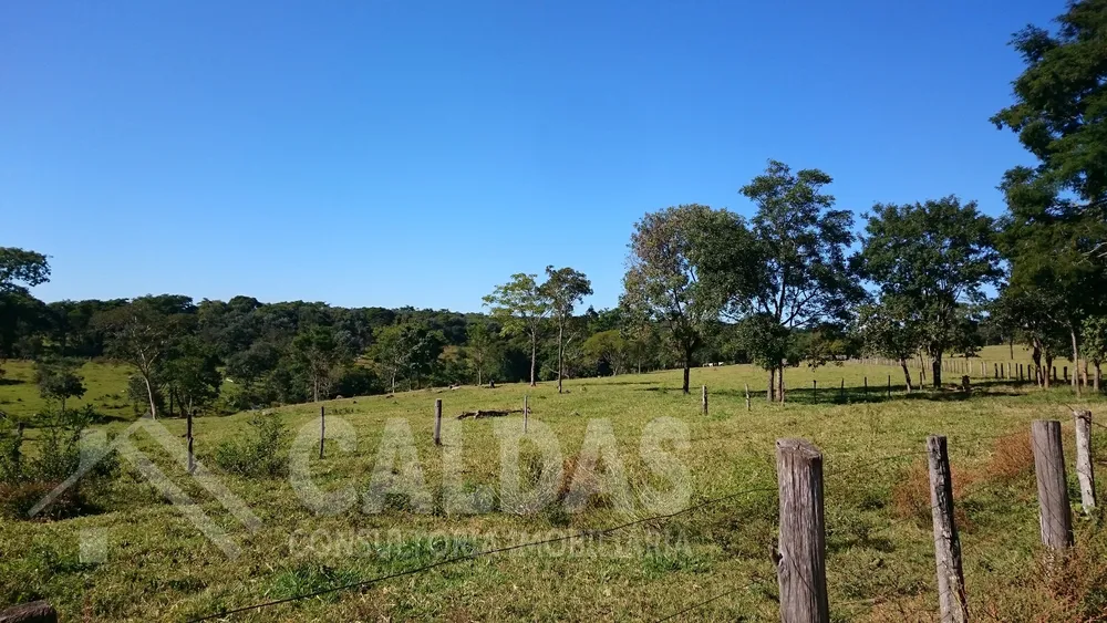 Terreno - Foto 5