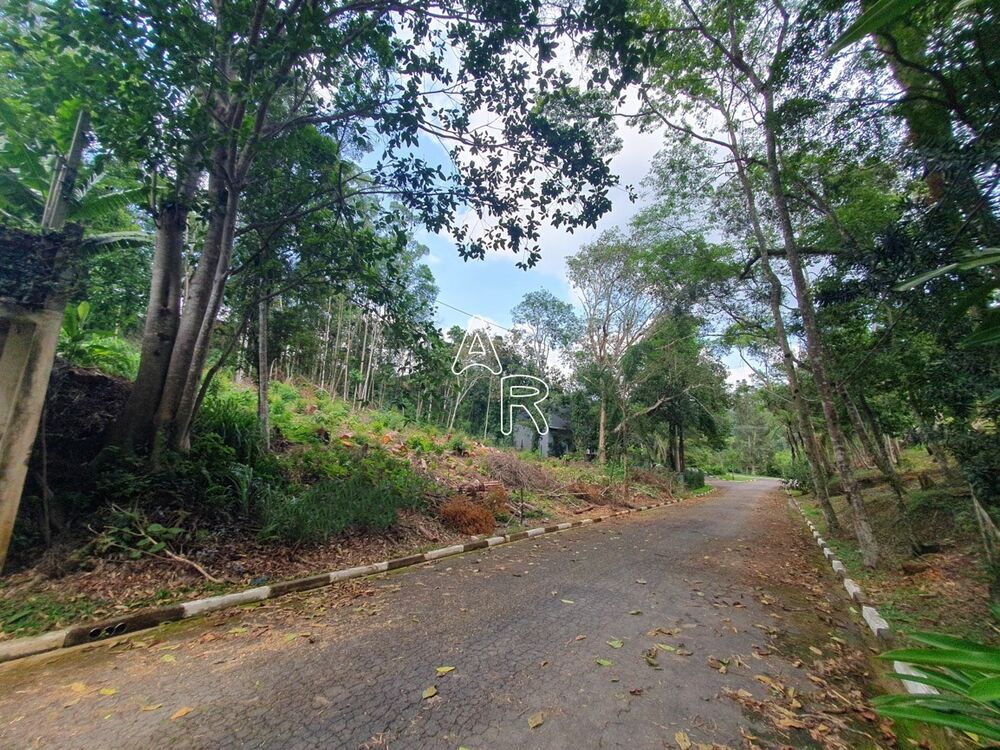 Terreno, 2019 m² - Foto 2
