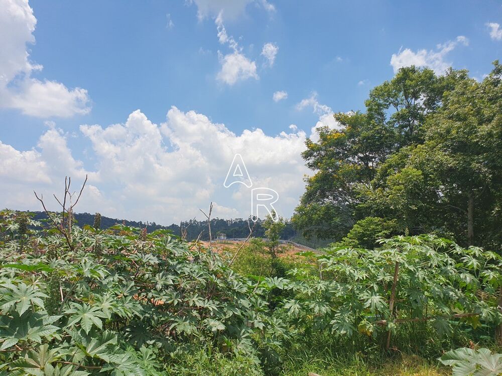 Terreno à venda, 125m² - Foto 5