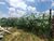 Terreno, 125 m² - Foto 2
