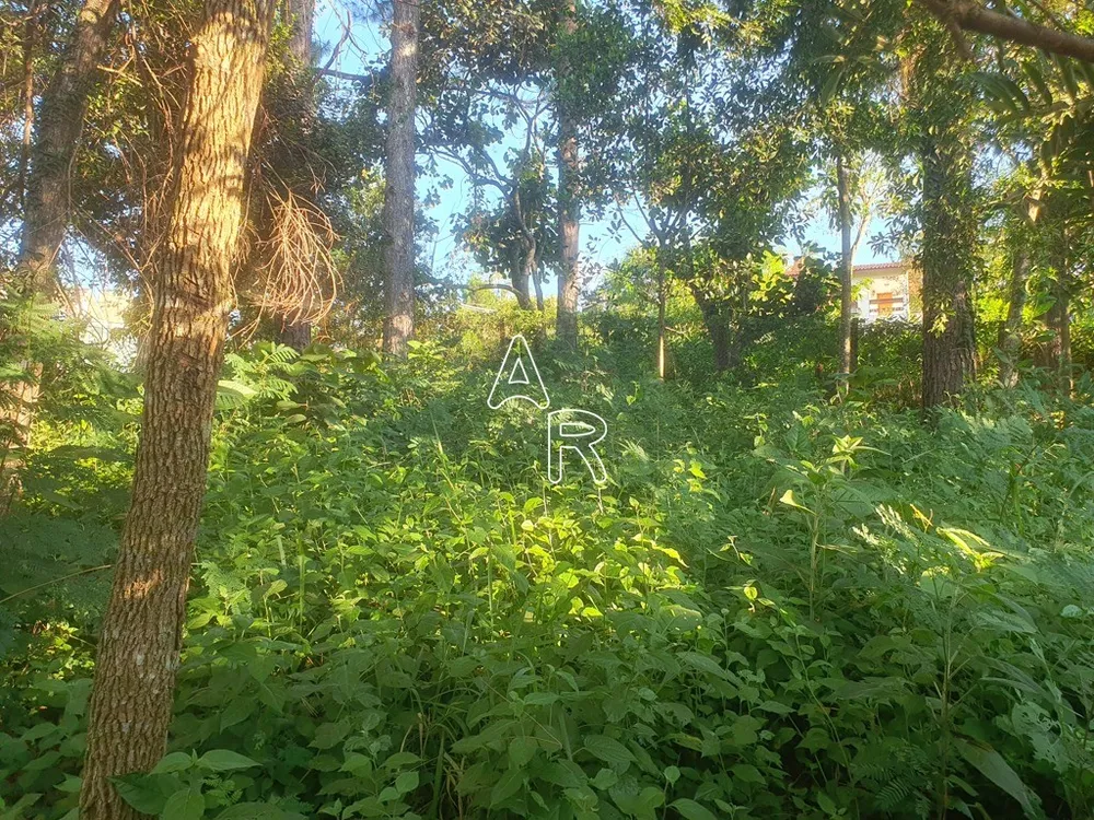 Terreno, 586 m² - Foto 4