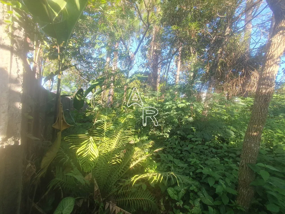Terreno, 586 m² - Foto 6