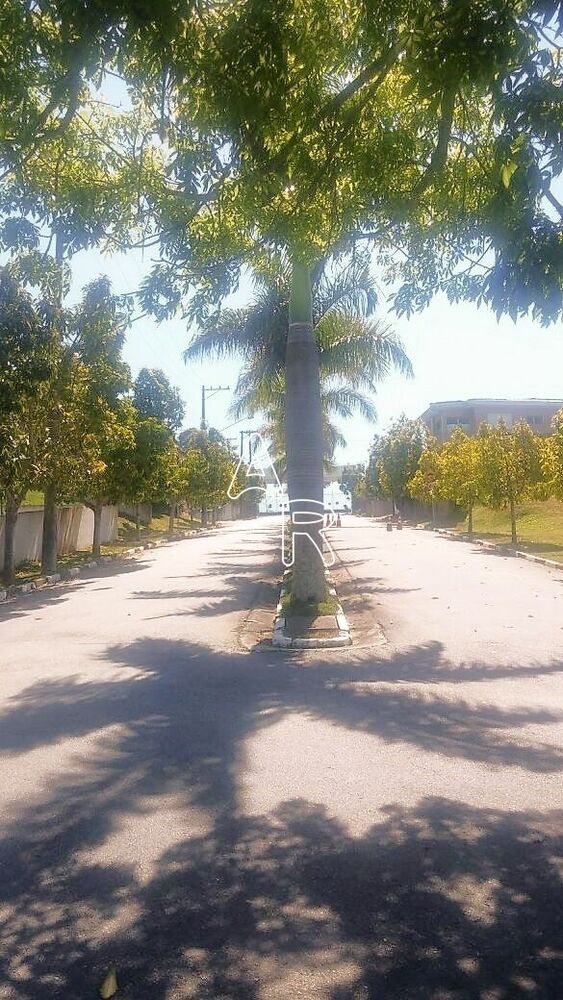 Terreno, 564 m² - Foto 3