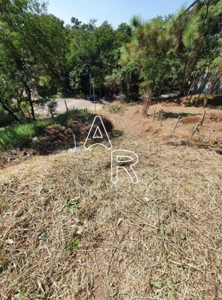 Terreno à venda, 1239m² - Foto 5