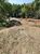 Terreno, 1239 m² - Foto 5