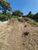 Terreno, 1239 m² - Foto 6