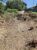 Terreno, 1239 m² - Foto 8