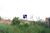 Terreno, 250 m² - Foto 7