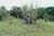 Terreno, 4840 m² - Foto 3