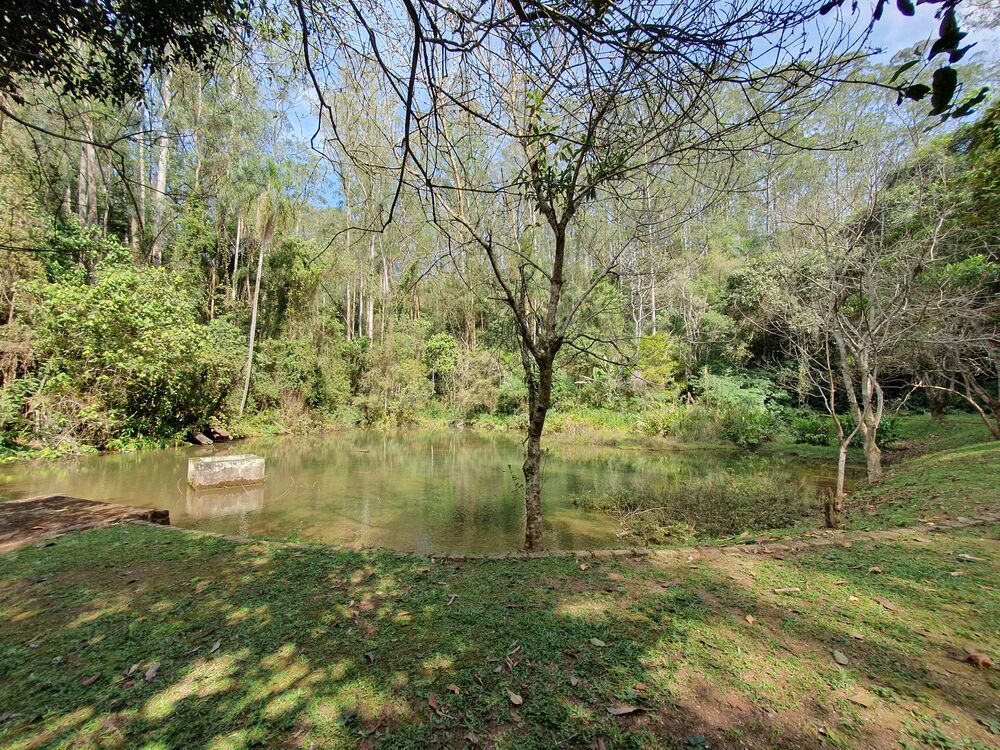 Terreno, 2966 m² - Foto 3