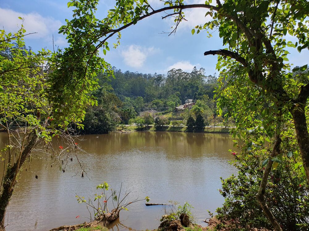 Terreno, 2966 m² - Foto 2