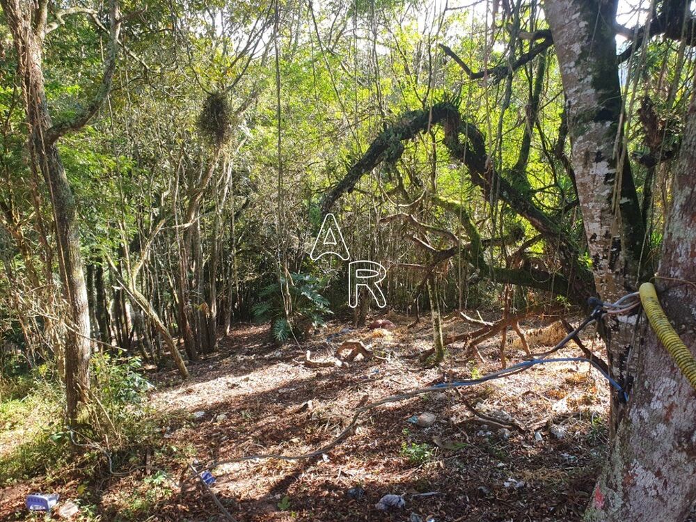 Terreno, 1327 m² - Foto 13