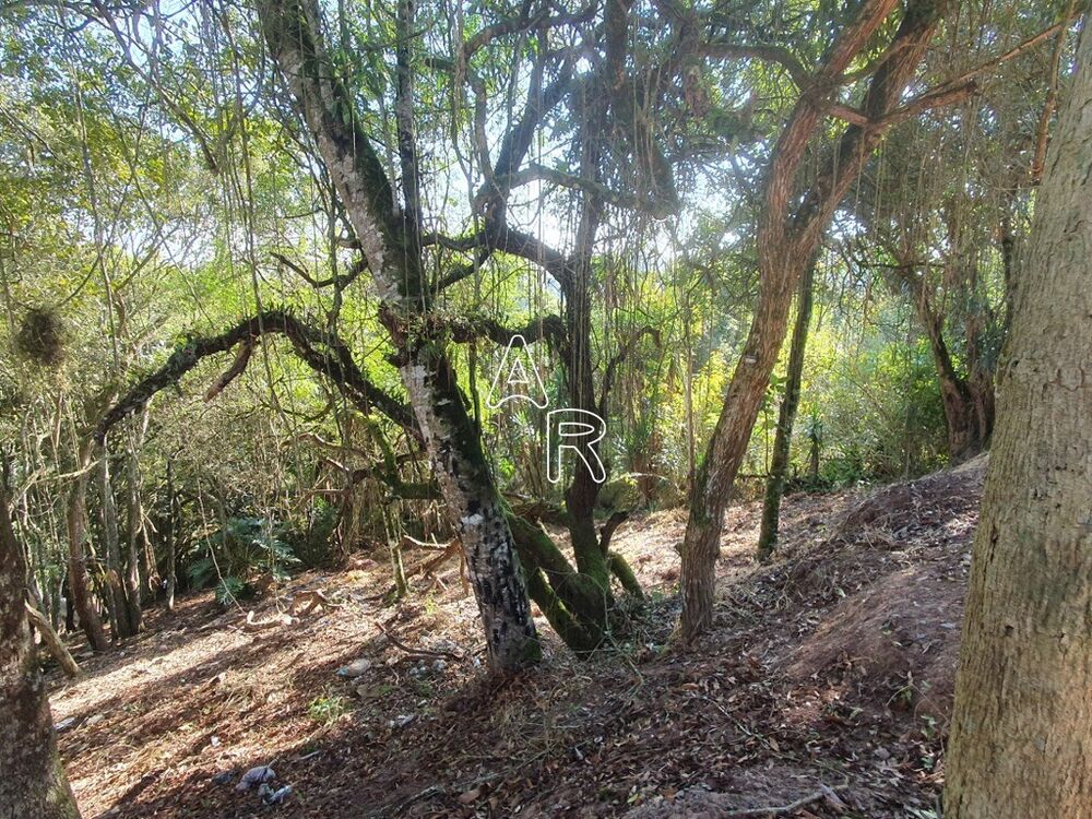 Terreno, 1327 m² - Foto 4