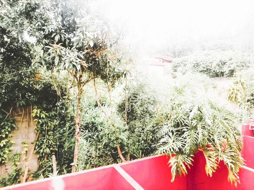 Casa de Condomínio, 2 quartos - Foto 1