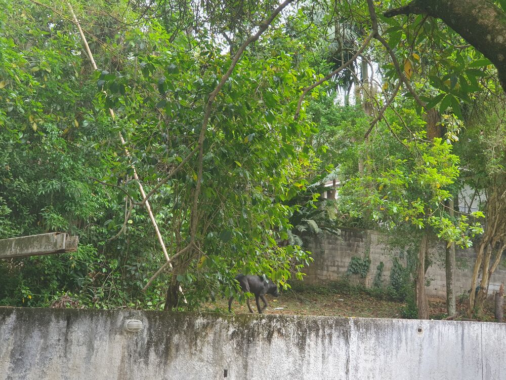 Terreno, 3600 m² - Foto 21